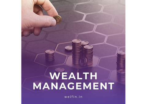 wealth management company India