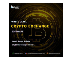 Leading White label crypto exchange Company - Beleaf Technologies