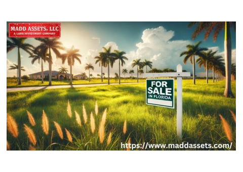 Discover Prime Vacant Land for Sale in Florida