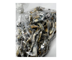 MAGIC MUSHROOM FOR SALE ONLINE