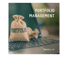 portfolio manager services