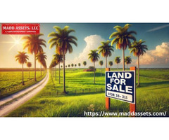 Discover an Ideal Land for Sale in Florida