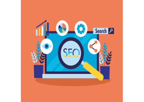 Affordable Local SEO Services by Skylite Web