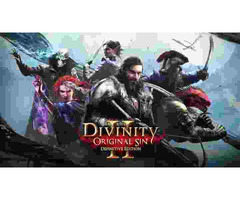 Divinity Original Sin Laptop / Desktop Computer Game