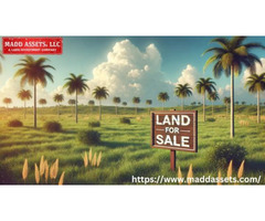 Explore Prime Vacant Land for Sale in Florida