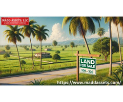 Explore Premium Vacant Land for Sale in Florida