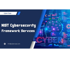 NIST Cybersecurity Framework Services by Cyber Cops