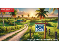 Find best Land for Sale in Florida