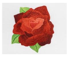 Coloreel Embroidery Digitizing Service