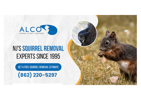 Emergency Bat Removal in NJ
