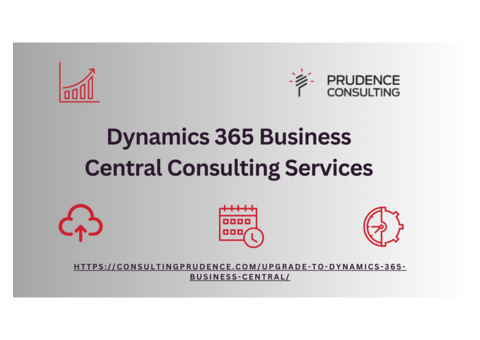 What is MS Dynamics used for?