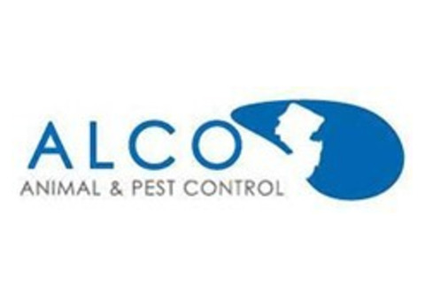 Stink Bug Control