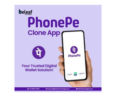 Custom Phonepe clone app development company - Beleaf Technologies