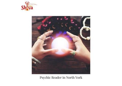 Psychic Reader In North York | Pandit Shiva Tej