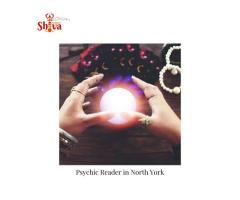 Psychic Reader In North York | Pandit Shiva Tej