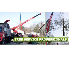 Tree Cutting Service in NJ