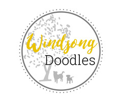 Doodle breeder bay area