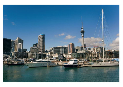 New Zealand Visa Application Online - New Zealand Immigration