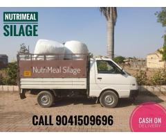 Best Silage Suppliers in India