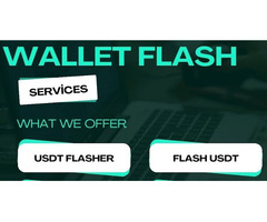 Build & Optimize Your Flash USDT Solution