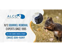 Rodent Control in NJ