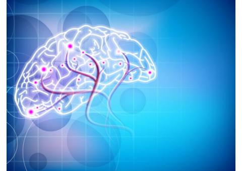 Bright Minds Bio Is Creating Novel Transformative Therapies