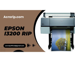 Epson I3200 RIP