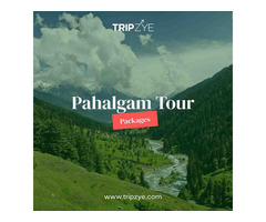 pahalgam holiday packages