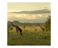 Tanzania Adventure Tours