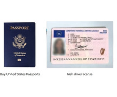 Buy Id, Passport, License & Others - Steady Chasers