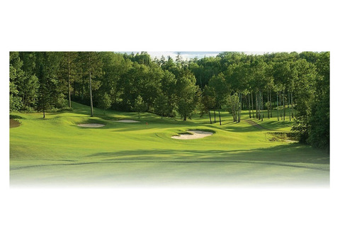 Exciting Virtual Golf Experience in Columbus, Ohio
