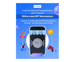 White Label NFT Marketplace - Trioangle Technologies