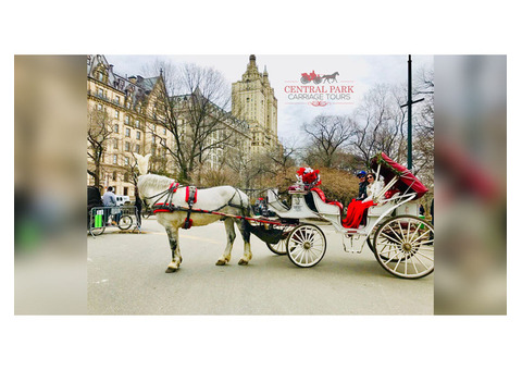 Horse Riding in NYC