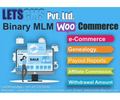 Binary MLM Plan WooCommerce for WordPress | Binary Software