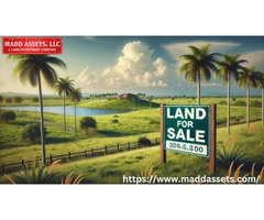 Build Your Dream with Land for Sale in Florida