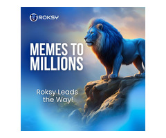 Roksy: The Next Big Meme Coin on Solana!