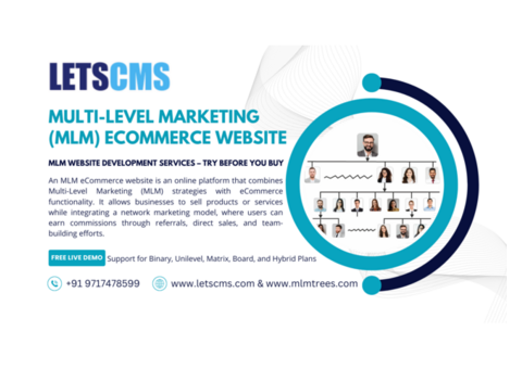 MLM eCommerce Website Development Services – Try Before You Buy