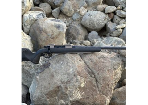 Allterra Arms Mountain Shadow Steel