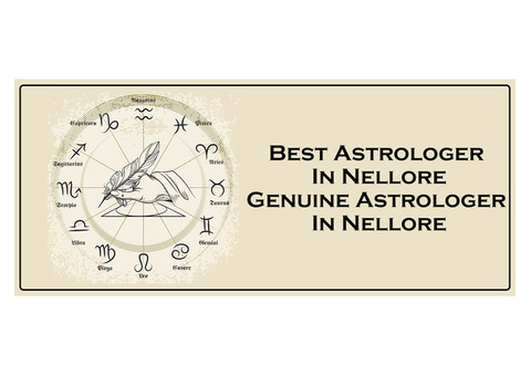 Best Astrologer in Nellore