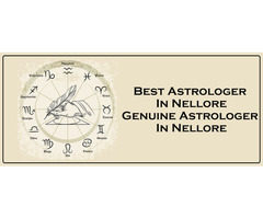 Best Astrologer in Nellore