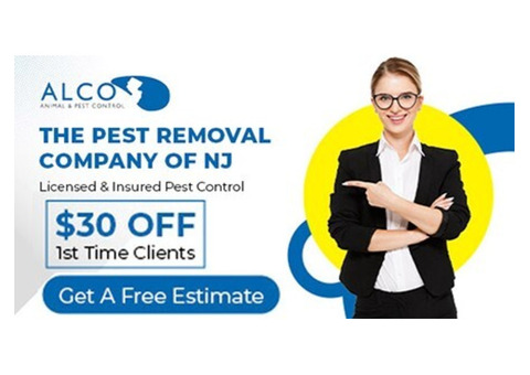 Squirrel Removal in NJ
