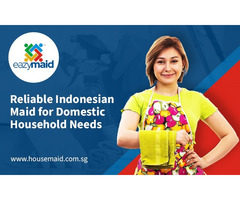 Reliable Indonesian Maid for Domestic Household Needs