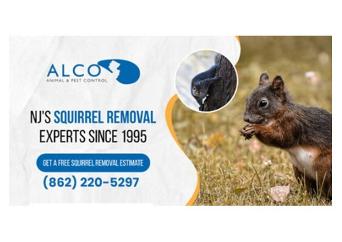 Pest Removal in North NJ – ALCO Animal & Pest Control