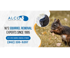 Pest Removal in North NJ – ALCO Animal & Pest Control