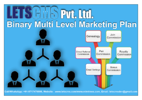 Binary Plan MLM Script | Binary Mlm Software