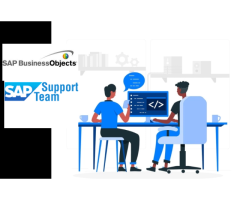 Best Sap consulting services