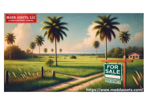 Own Your Piece of Prime Vacant Land for Sale in Florida