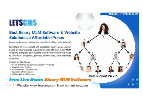 Best Binary MLM Software and Website Solutions at Affordable Prices