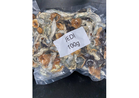 BUY GOLDEN TEACHER AND MAGIC MUSHROOM ONLINE