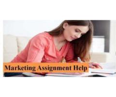 Buy Marketing Strategy Assignment Help at a Lower cost